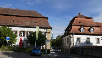 Die „Wilden Buchenwälder“ in Ebrach laden ein